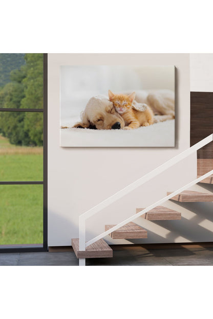 Golden Köpek İle Uyuyan Yavru Kedi Dekoratif Kanvas Tablo 1176