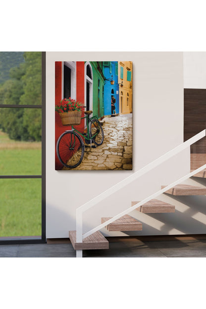 Sokaktaki Çiçekli Bisiklet Duvar Tablosu-6453