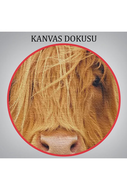 Özel Tasarım, Dekortif BaskıAmerikan Yayla İneği Kanvas Tablo-5156