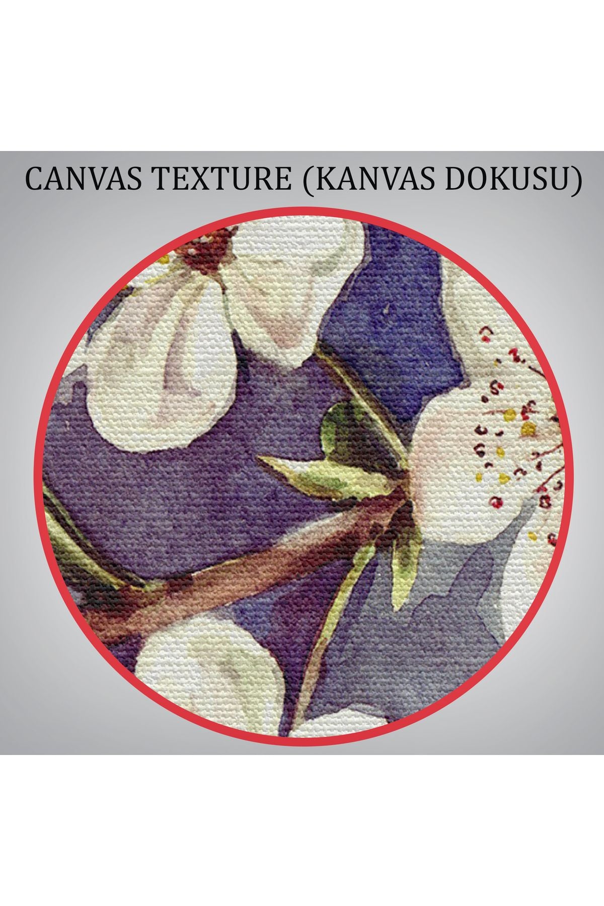 Beyaz Erik Çiçekleri Duvar Tablosu-1234