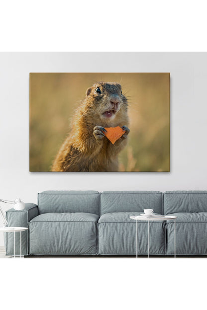 Şaşkın Sincap Dekoratif Kanvas Tablo 1158