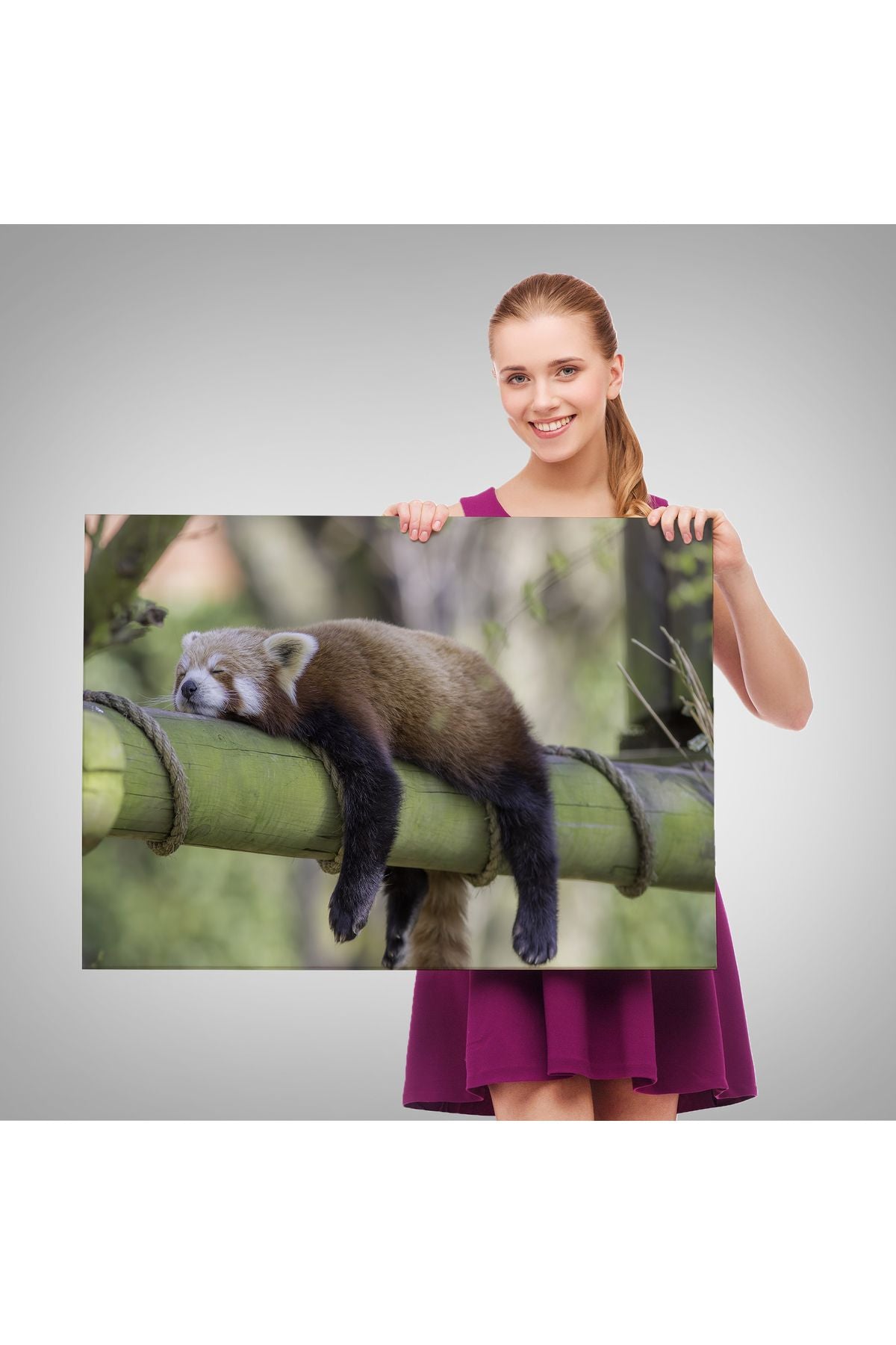 Kırmızı Panda Dekoratif Kanvas Tablo 1140