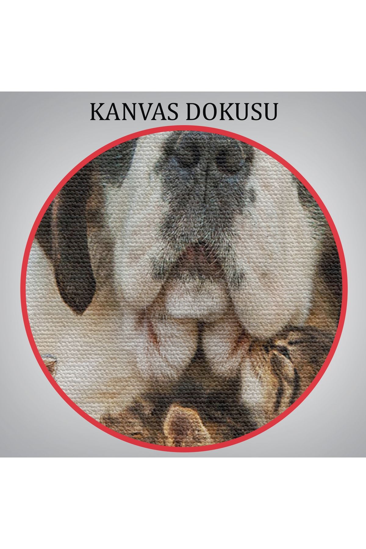 YB St. Bernard Köpek ve Yavru Kediler Dekoratif Kanvas Tablo 1124