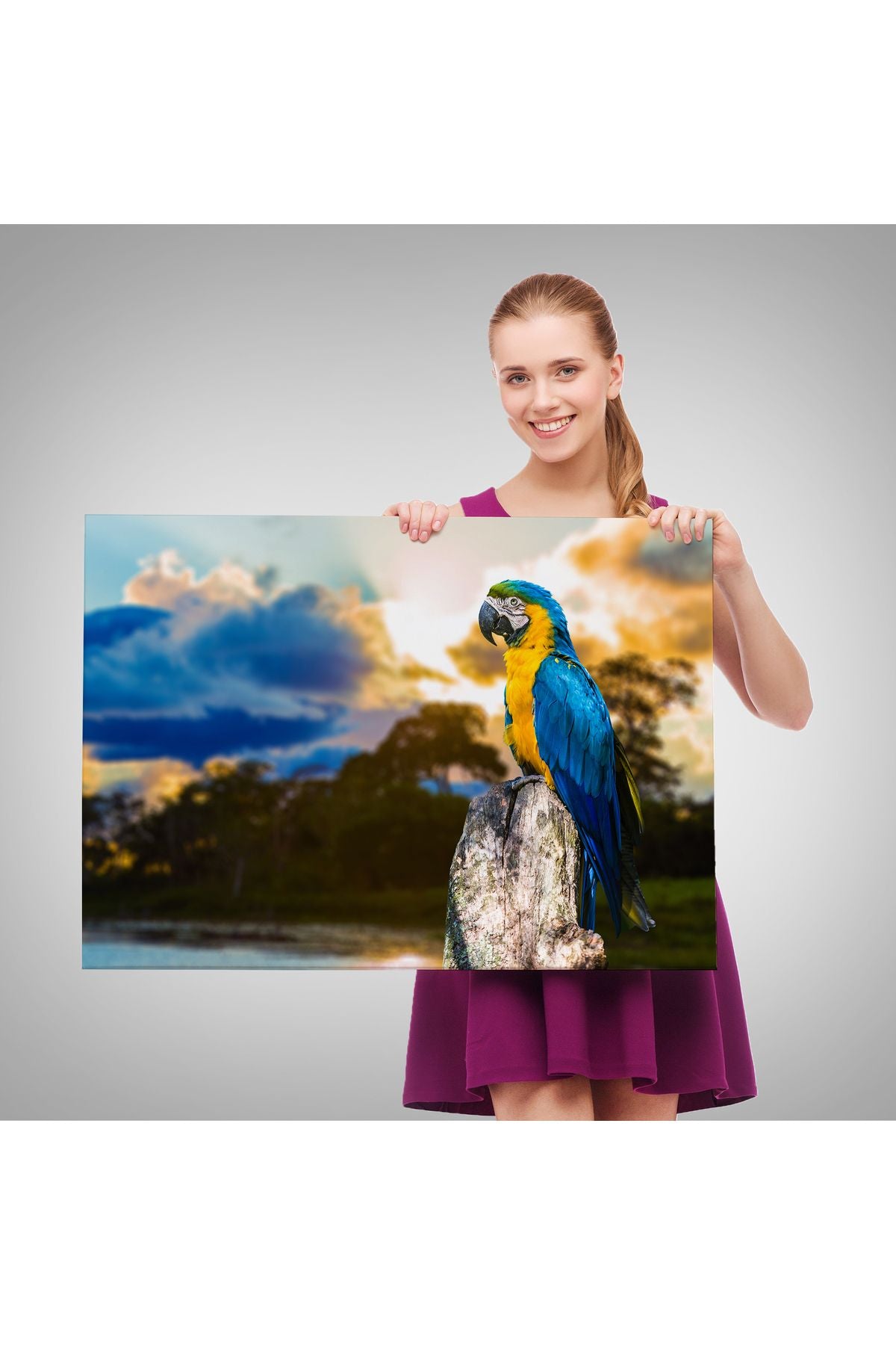 Papağan Dekoratif Kanvas Tablo 1123