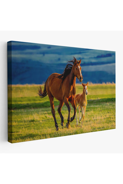 At ve Tay Manzaralı Dekoratif Kanvas Tablo 1173