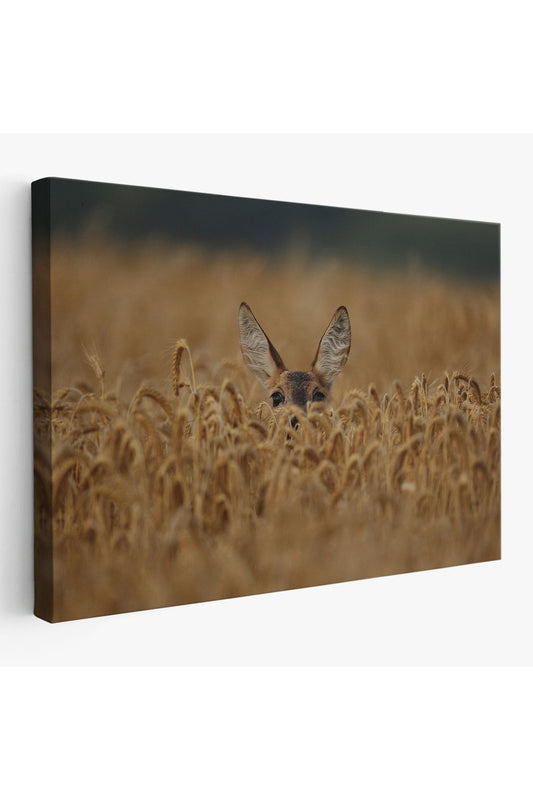 Ceylan Dekoratif Kanvas Tablo 1145