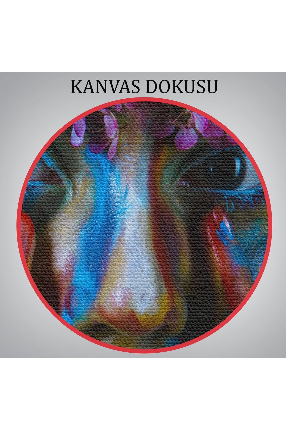 DB HG Çiçek Taçlı Kız Duvar Tablosu-5992