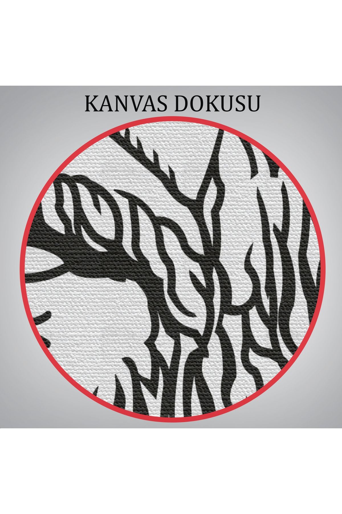 Fyodor Mihayloviç Dostoyevski Dekoratif Kanvas Tablo-5913