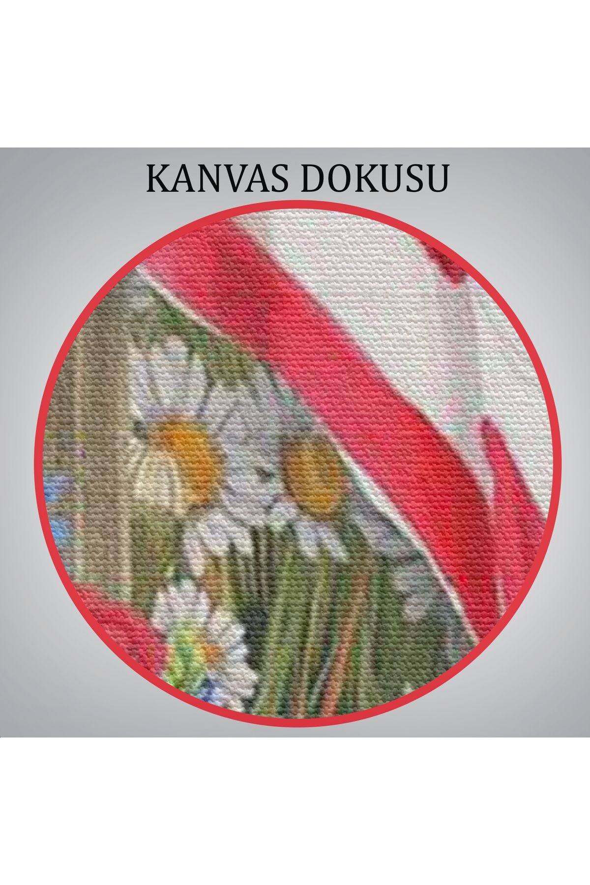 Güzel Bahçe İçierisindeki Amerka Bayrağı Duvar Tablosu-6278