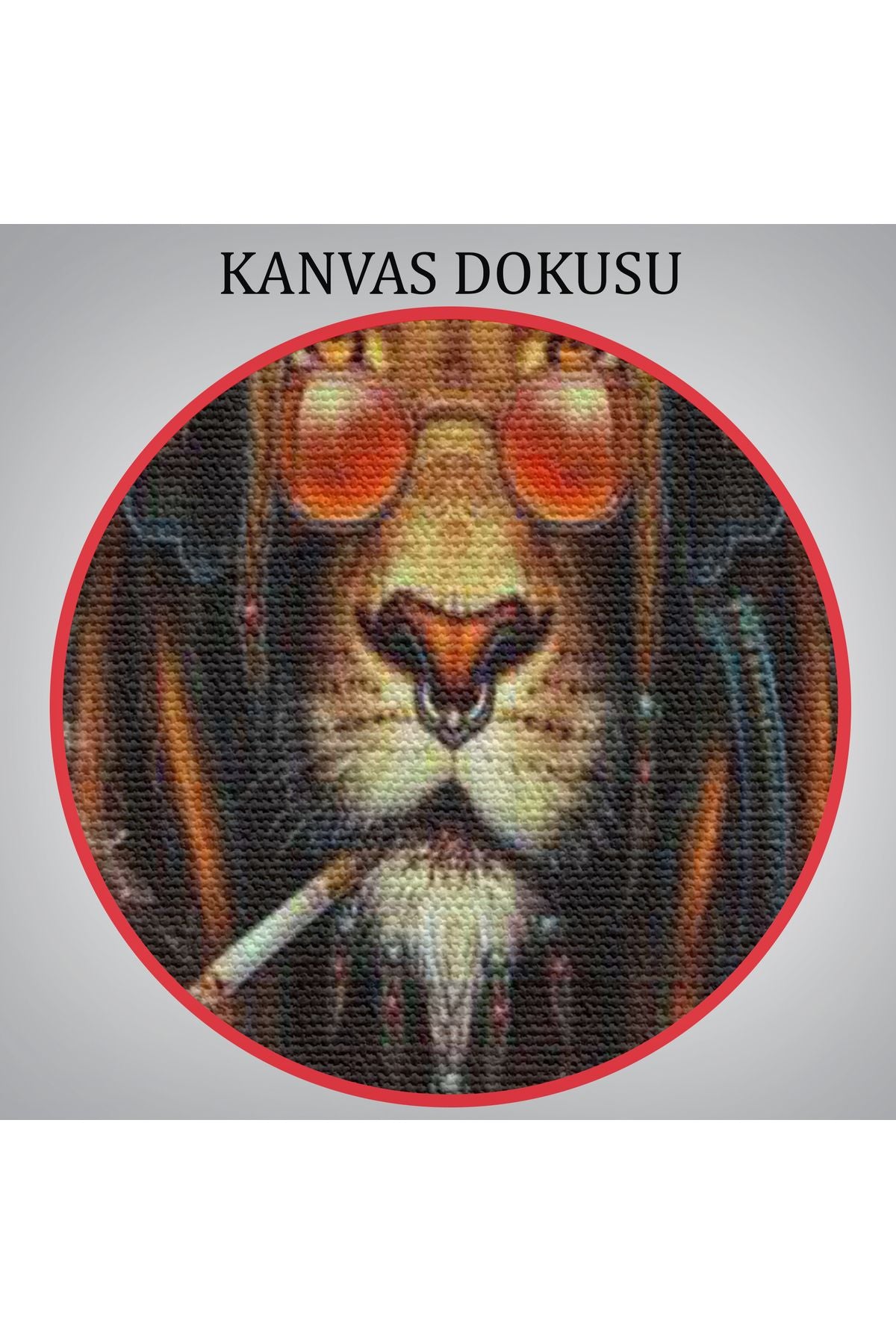 Dekoratif Kanvas Tablo-Amerikan Futbolu Soccer Duvar Tablosu 5391