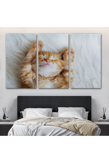 arg001 seri Yavru Kedi Dekoratif Kanvas Tablo 1125