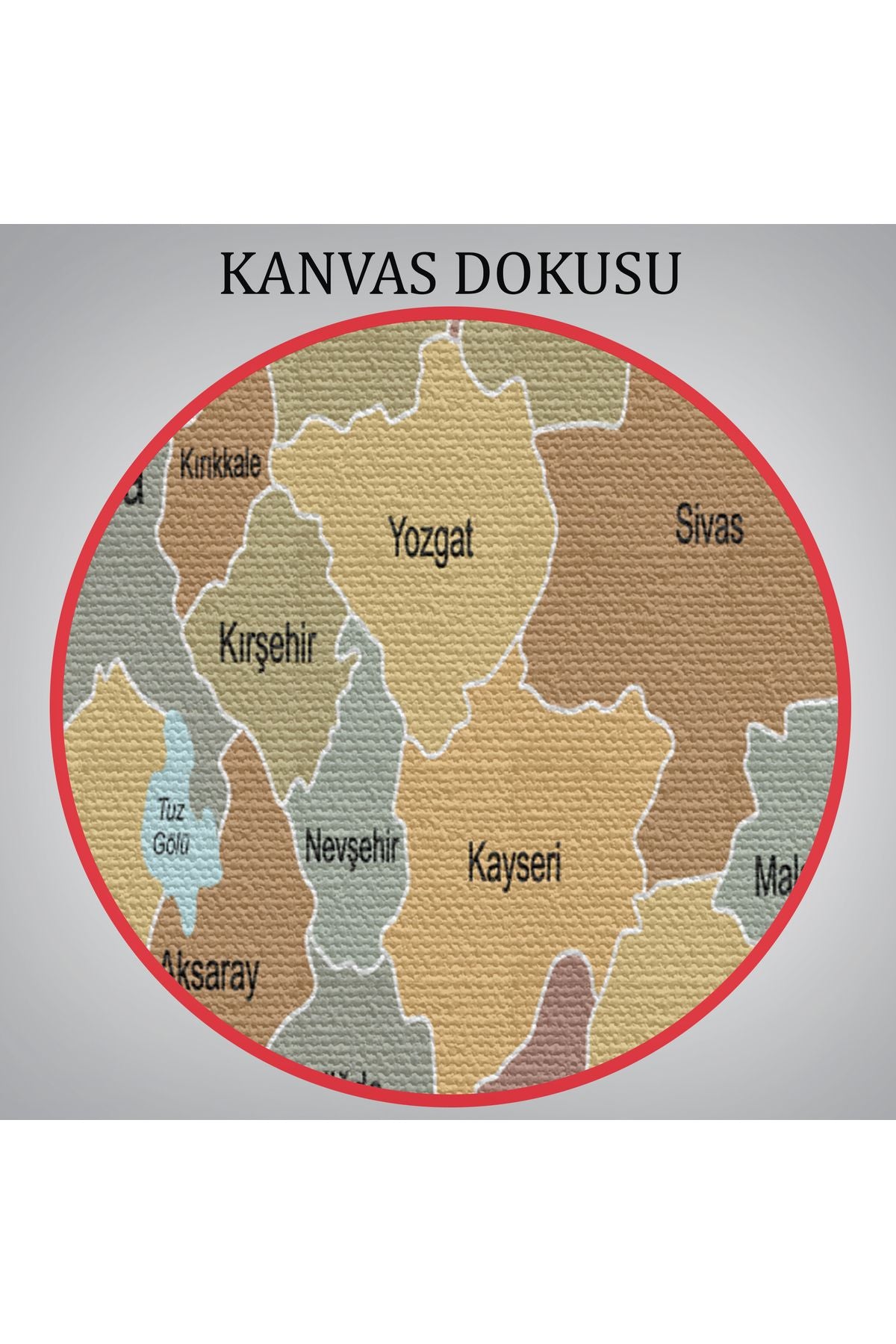 Türkiye Haritası Kanvas Tablo Eğitici ve Öretici Dekoratif Tablo Tablo 3134