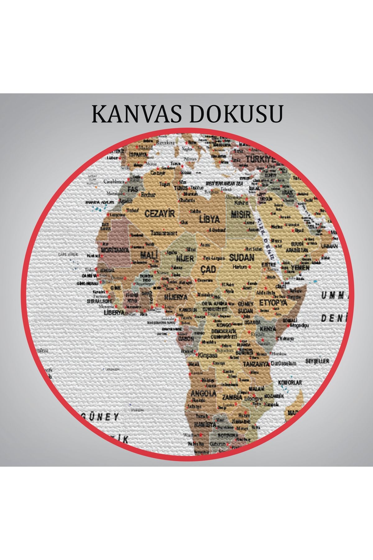 Türkçe Dünya Haritası Son Derece Ayrıntılı Eğitici ve Bayraklı Kanvas Tablo 2809