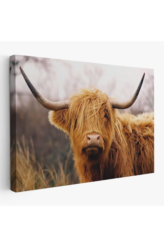 Özel Tasarım, Dekortif BaskıAmerikan Yayla İneği Kanvas Tablo-5156