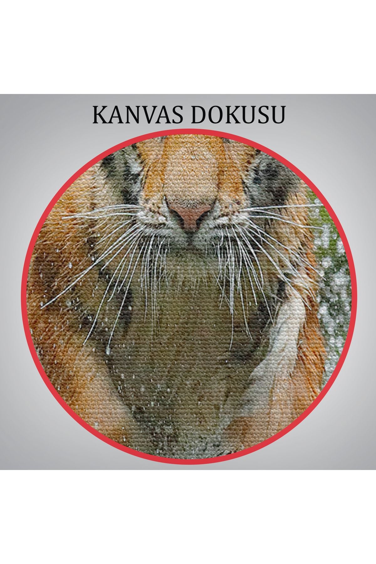 Koşan Kaplan Dekoratif Kanvas Tablo 1142