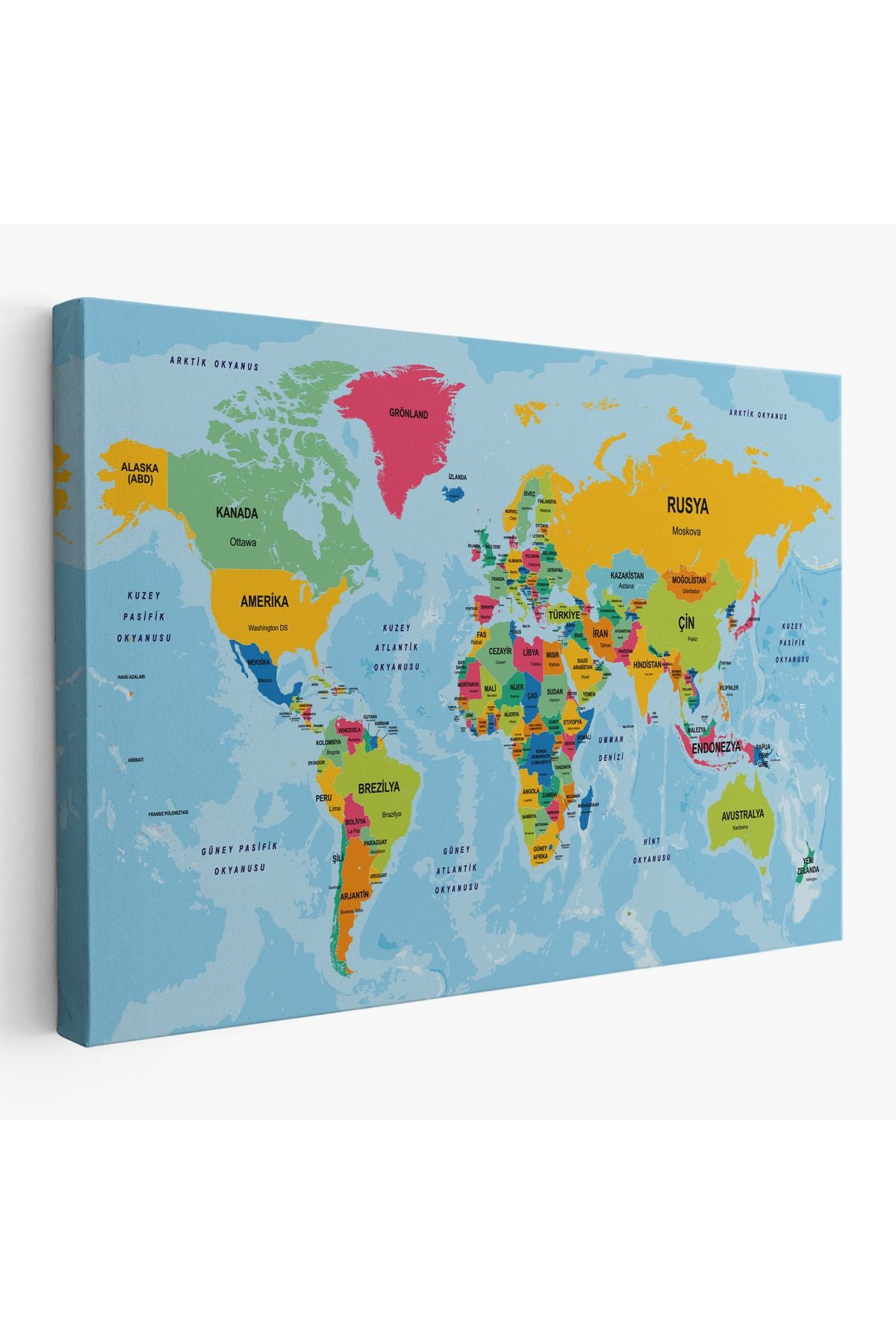 Türkçe Dünya Haritası Ülke Başkentli ve Okyanuslu Dekoratif Kanvas Tablo 2242