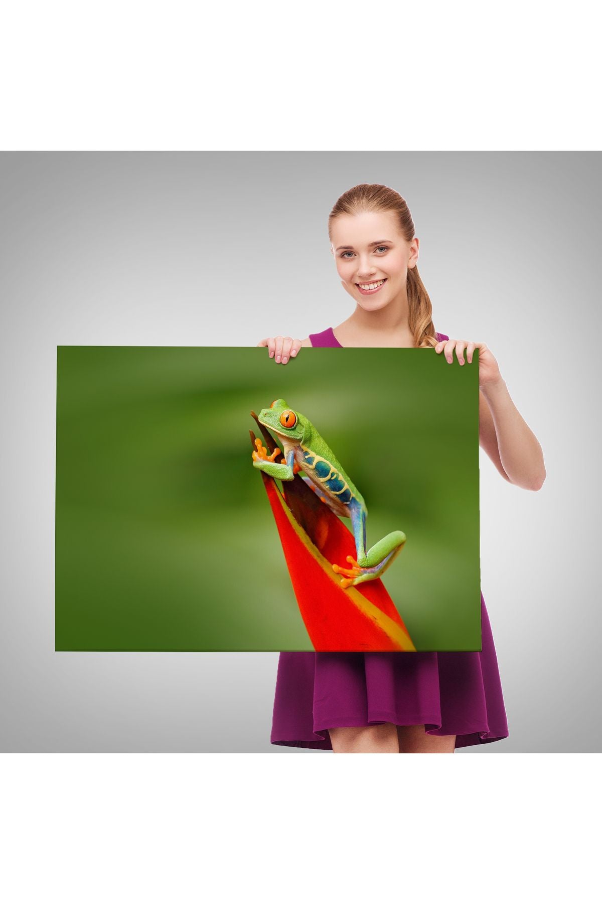 arg001 seri Renkli Kurbağa  Dekoratif Kanvas Tablo 1136