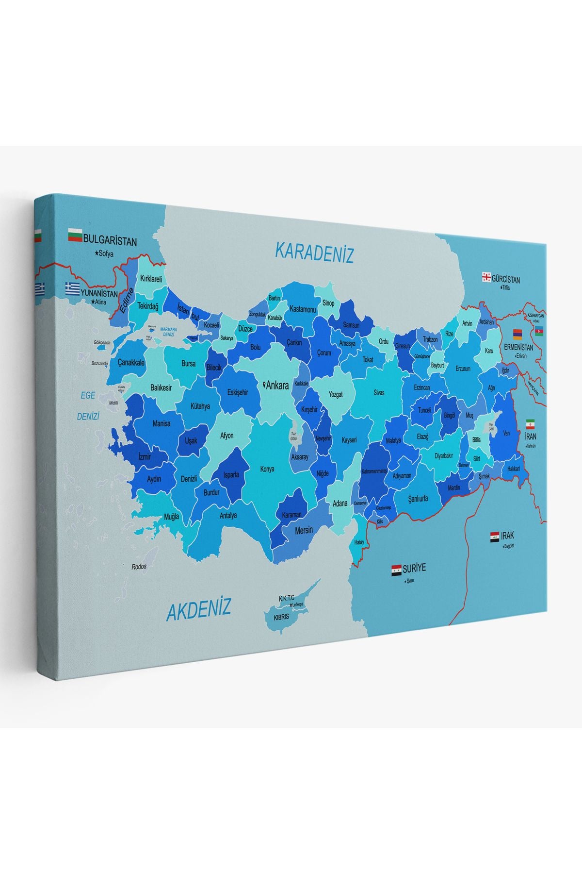 Türkiye Haritası Kanvas Tablo Sınır Komşulu Eğitici Dekoratif Tablo 3086