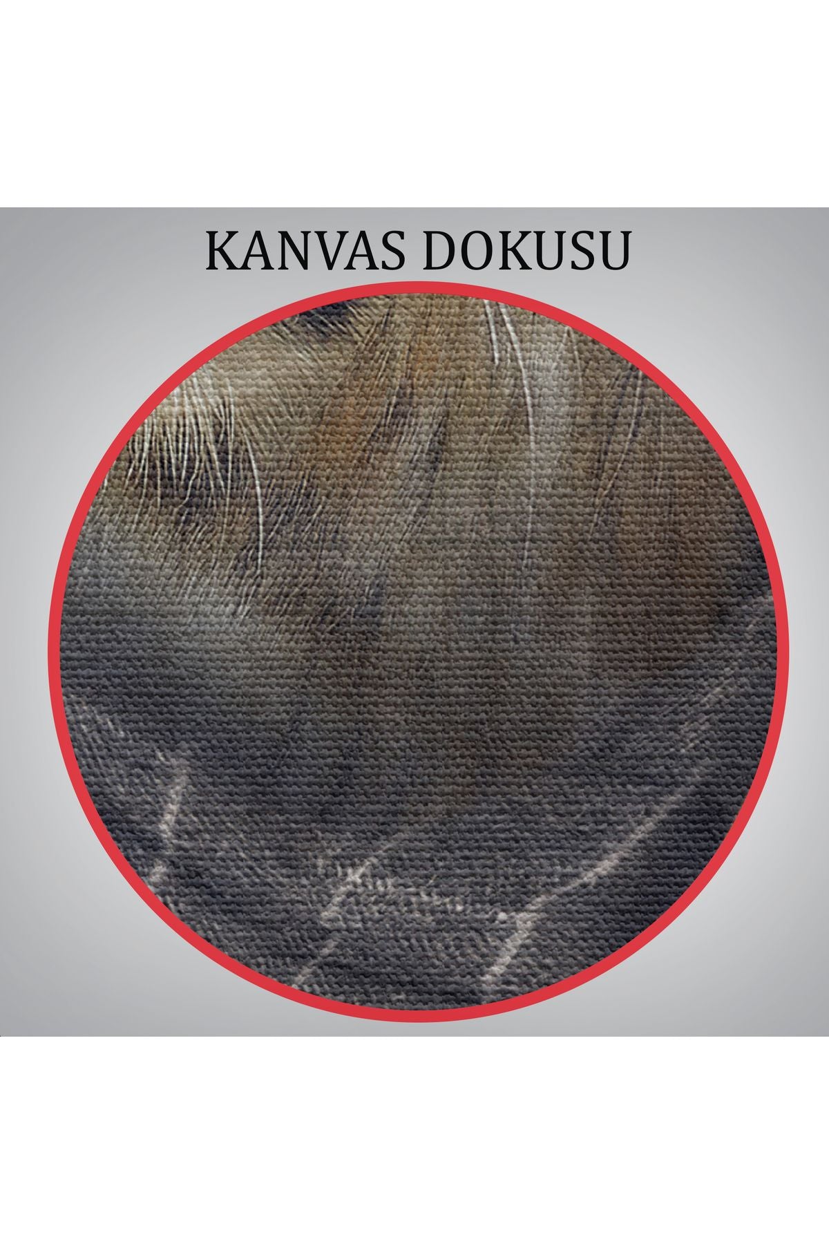 DB Kaplan Kafalı İnsan Kanvas Tablo-4999