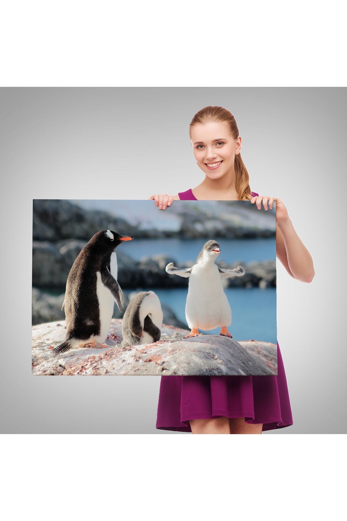 Mutlu Penguenler Dekoratif Kanvas Tablo 1172