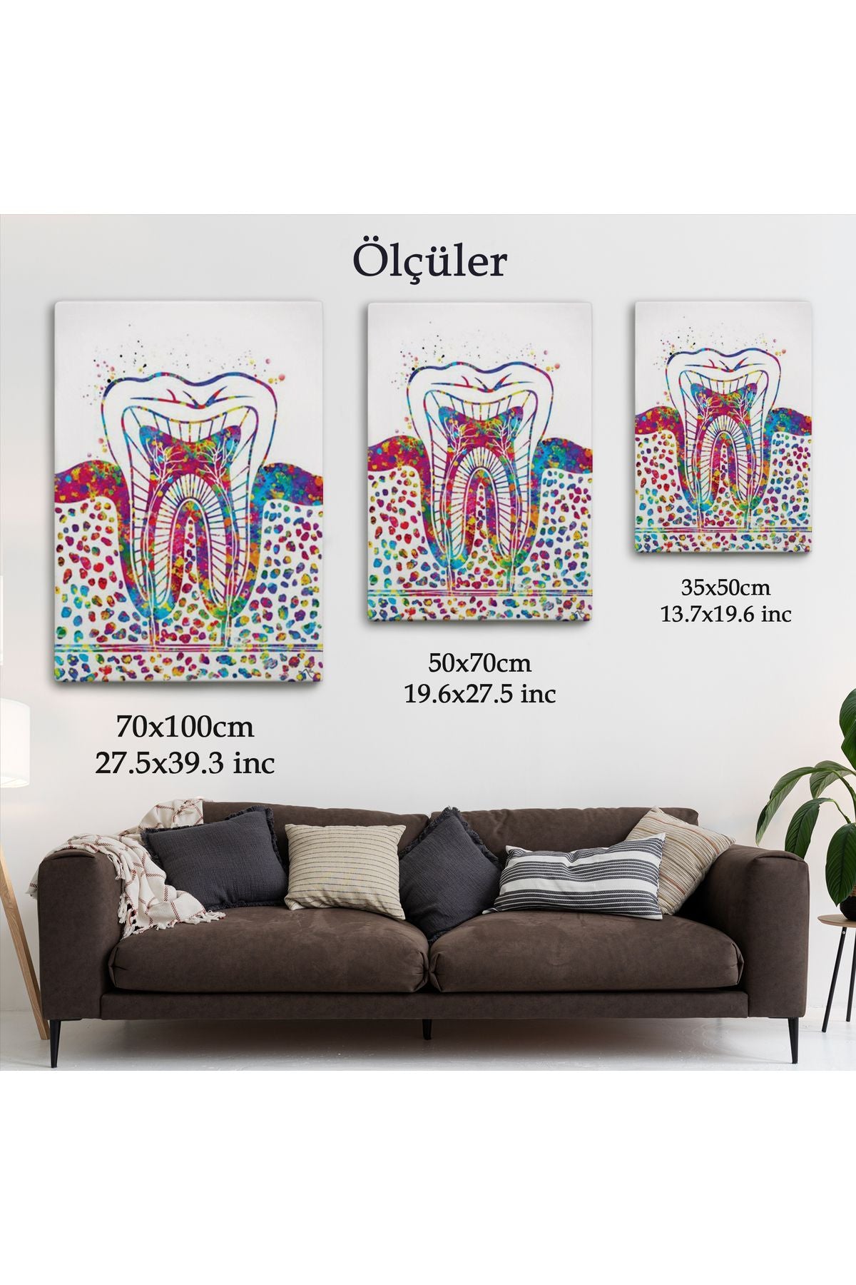 Renkli Diş, Diş Hekimi Duvar Tablosu-6300