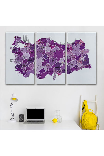 Türkiye Haritası Kanvas Tablo İl ve İlçeli Ayrıntılı Eğitici Dekoratif Tablo 3025