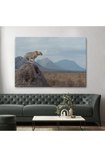 Leopar Dekoratif Kanvas Tablo -1127