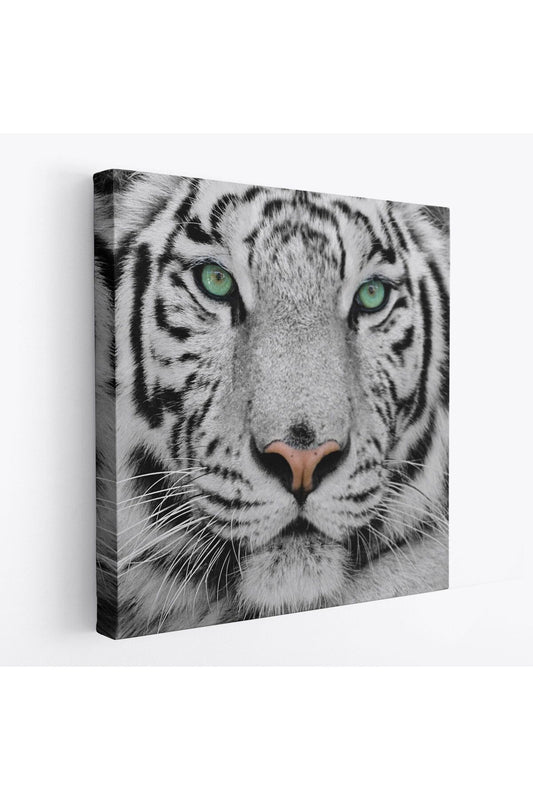 Kaplan Dekoratif Kanvas Tablo-5807