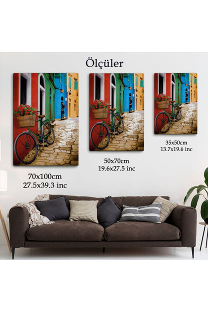 Sokaktaki Çiçekli Bisiklet Duvar Tablosu-6453