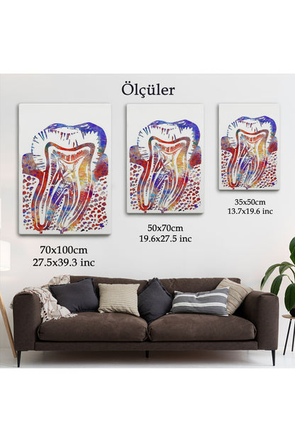 Suluboya Diş Anatomisi Tablosu-6020