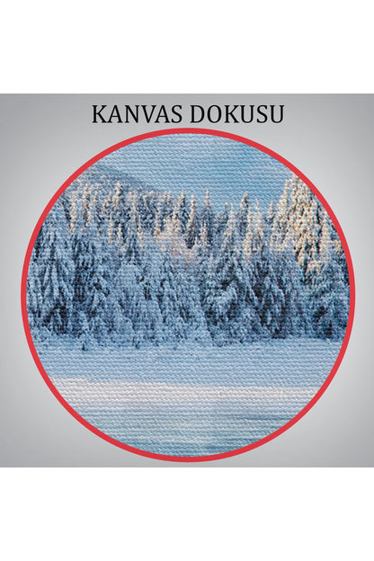 YB HG Donmuş Göl Ukrayna Dekoratif Kanvas Duvar Tablosu-3537