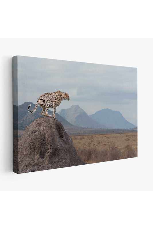 Leopar Dekoratif Kanvas Tablo -1127