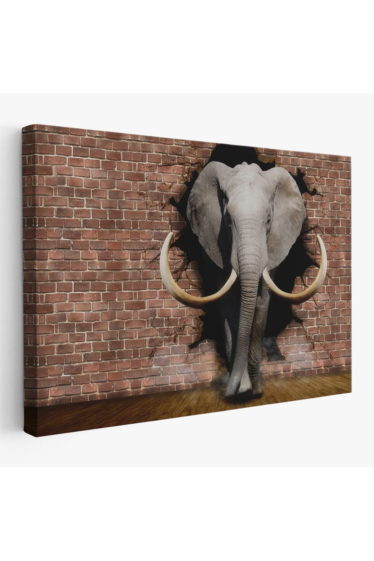 Duvardan Çıkan Fil Dekoratif Kanvas Duvar Tablosu-3620