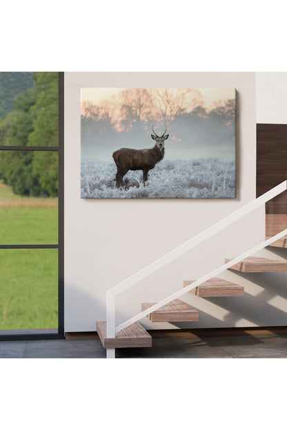 Kanvas Tablo, Duvar Dekoru, Geyik, Hayvan Temalı 1166 BUNGKNV