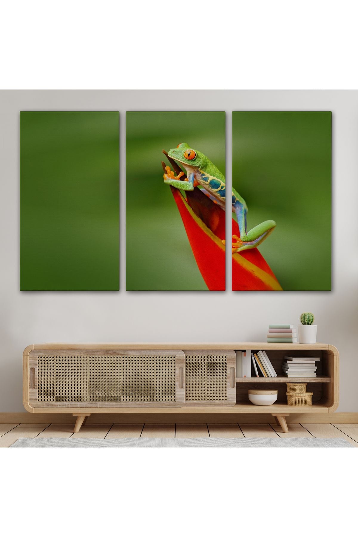 arg001 seri Renkli Kurbağa  Dekoratif Kanvas Tablo 1136