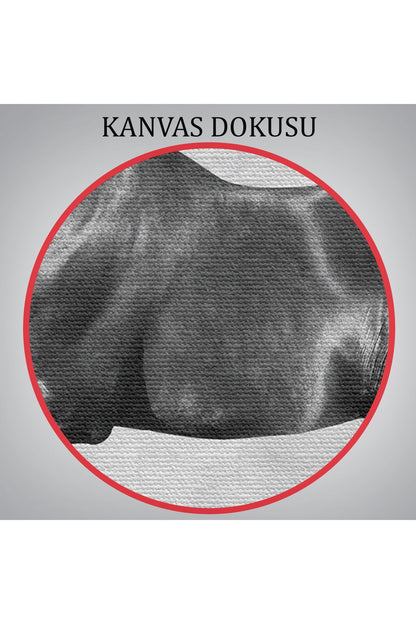 Dekoratif Kanvas Tablo, Duvar Tablosu-Asil Siyah At 6623