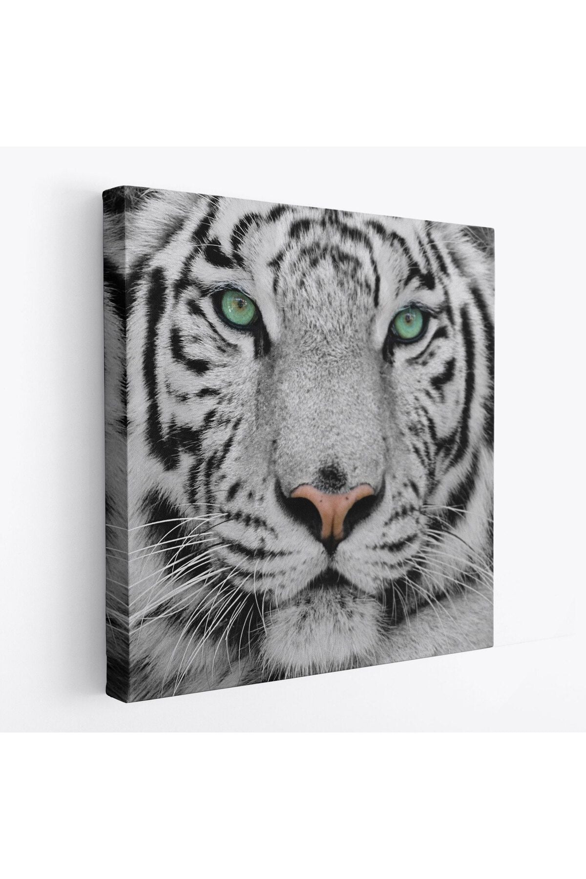 Kaplan Dekoratif Kanvas Tablo-5807