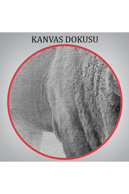 DB Bizon Dekoratif Kanvas Tablo 1160