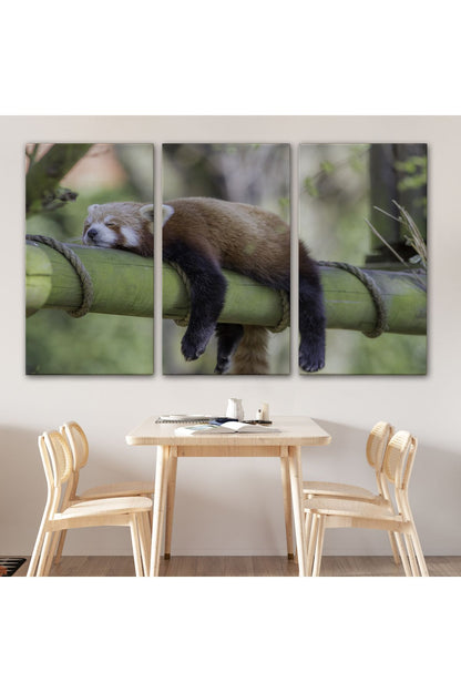 Kırmızı Panda Dekoratif Kanvas Tablo 1140