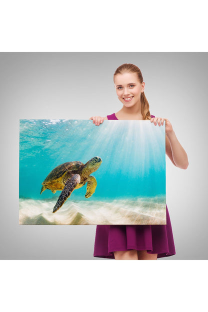 Deniz Kaplunbağası Dekoratif Kanvas Duvar Tablosu-3662