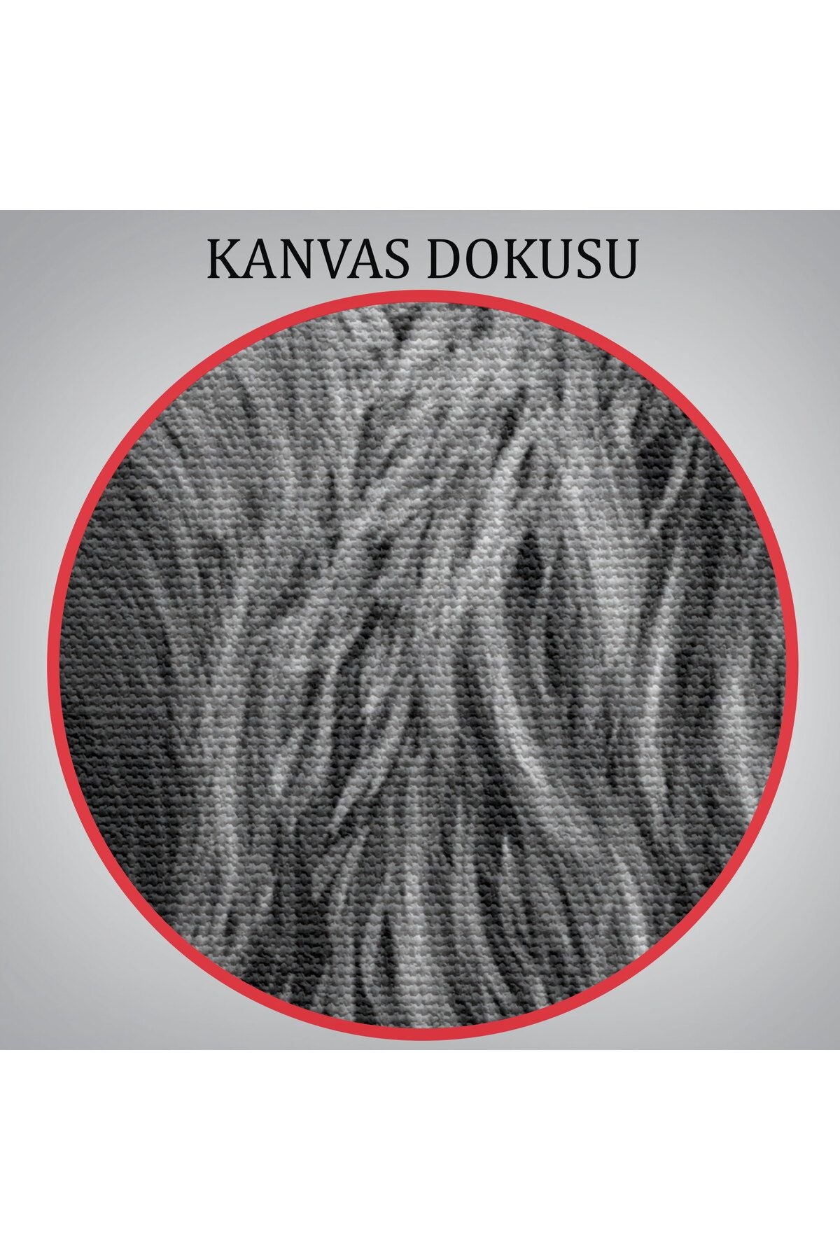 Erkek Aslan Dekoratif Kanvas Tablo-5816