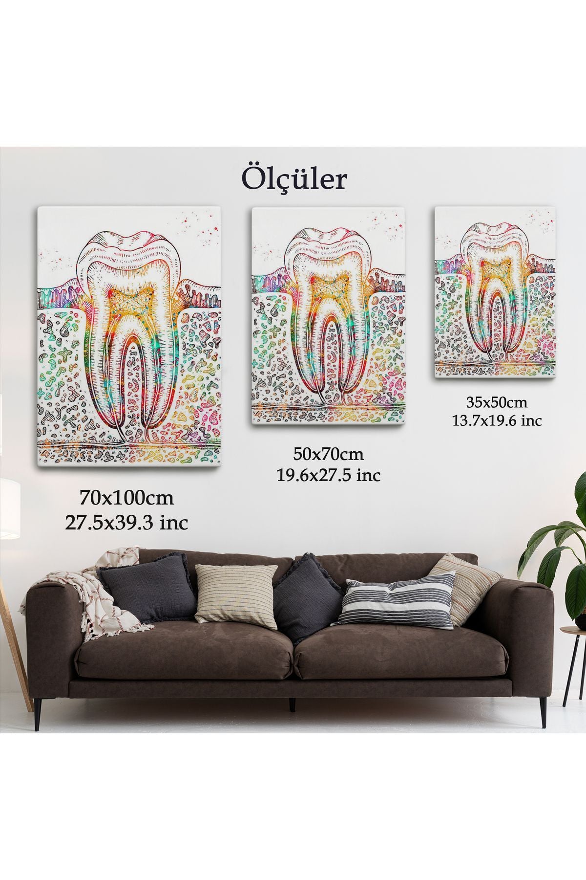 Diş Diyagramı Tablosu-6480