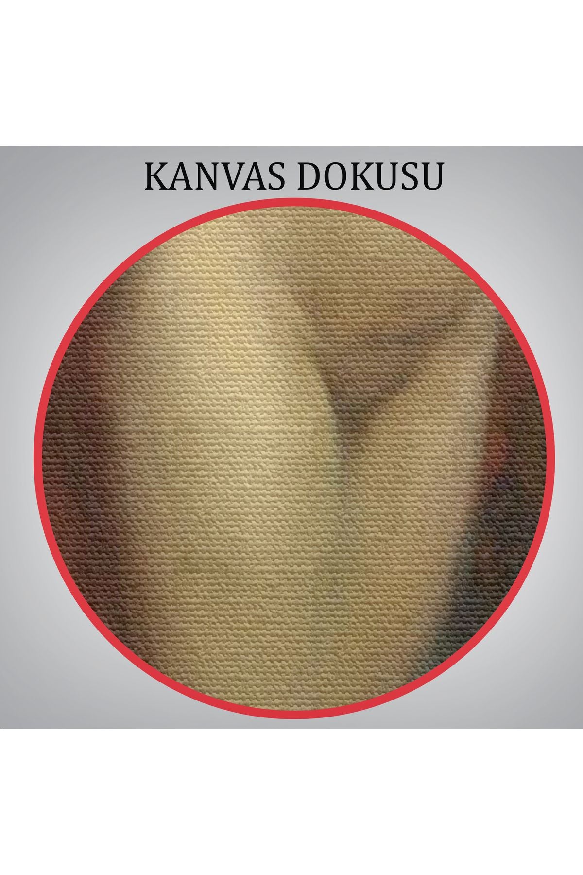 Carolus Duran Vizyon Dekoratif Duvar Tablosu-6314