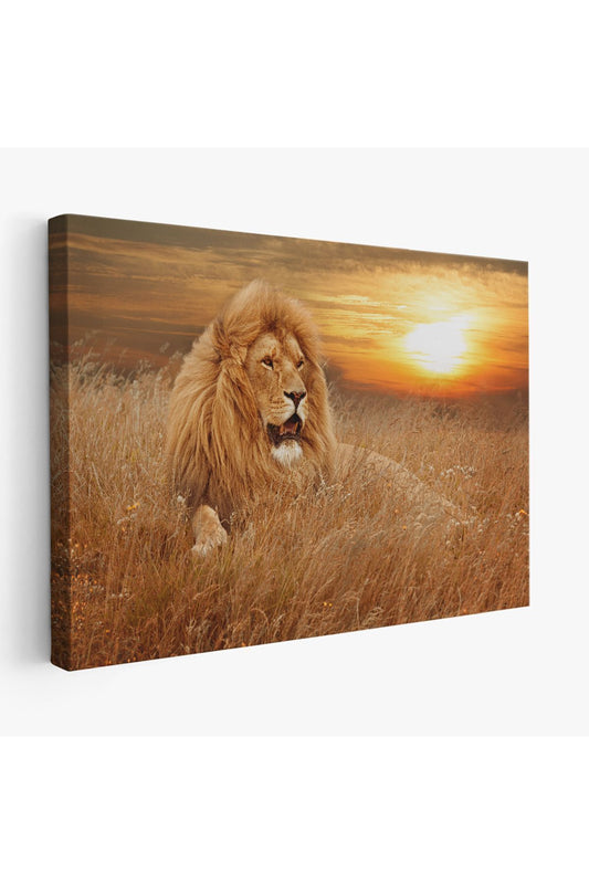 KY Özel Erkek Aslan Dekoratif Kanvas Tablo 1138