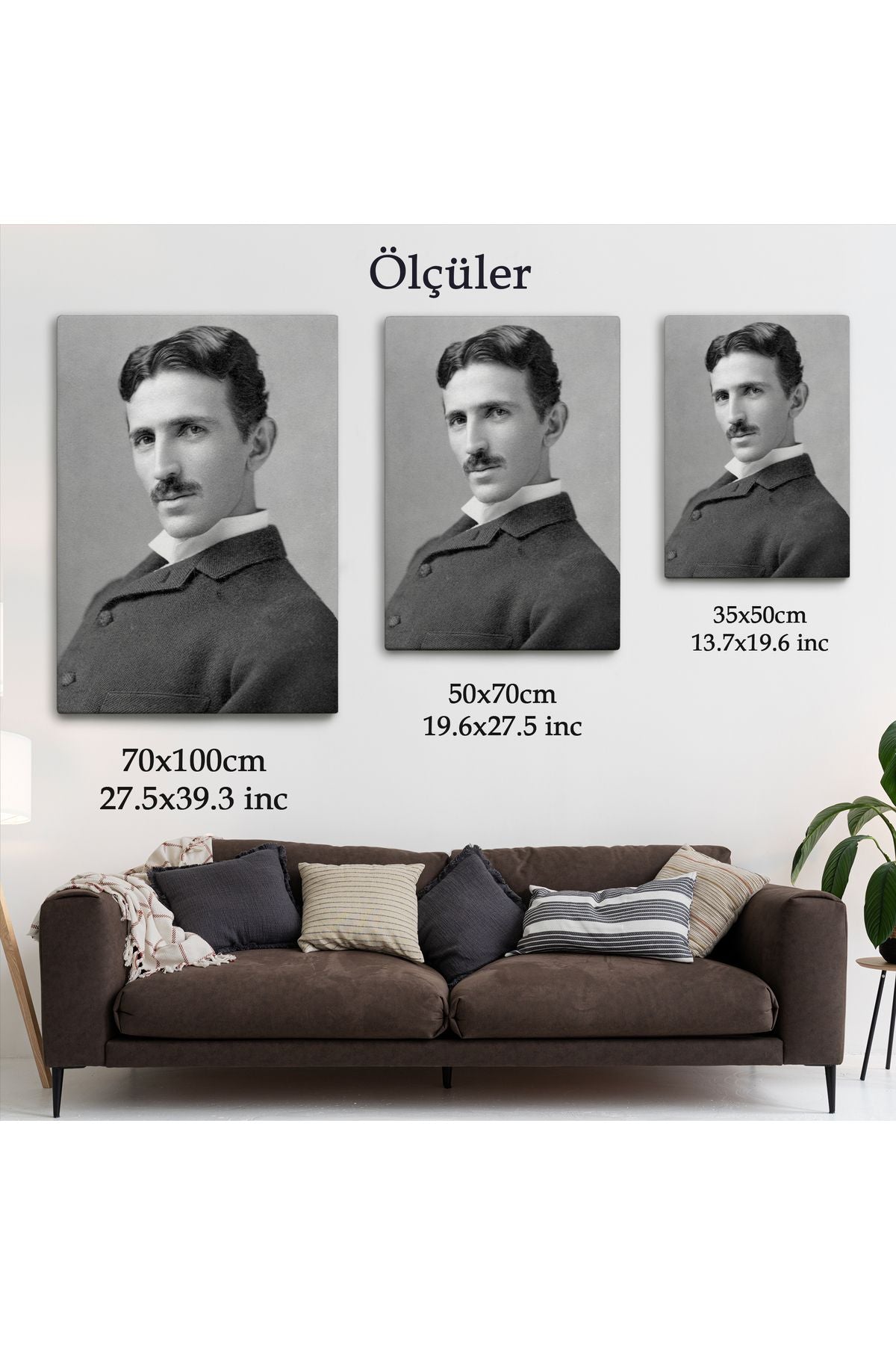 Nikola Tesla Dekoratif Duvar Tablosu-6172