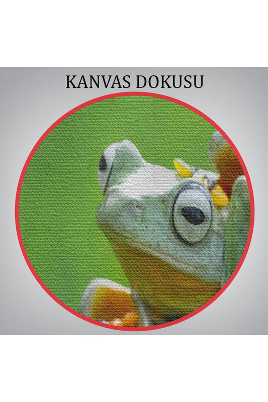 Küçük Kurbağalar Dekoratif Kanvas Tablo 1179