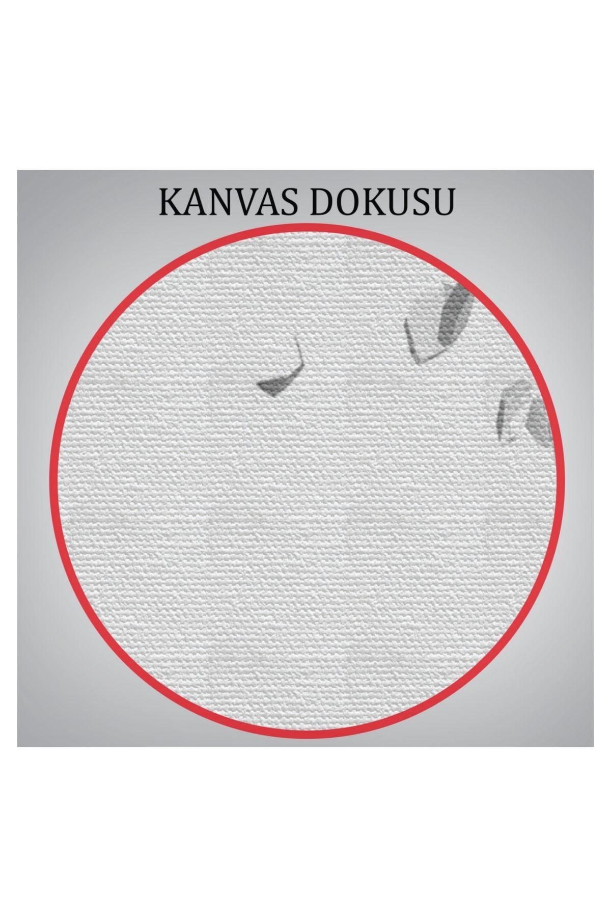 Kanvas Tablo, Duvar Dekoru, Çürüyen Diş, Diş Kliniği Diş Hekimi 5372 BUNGKNV