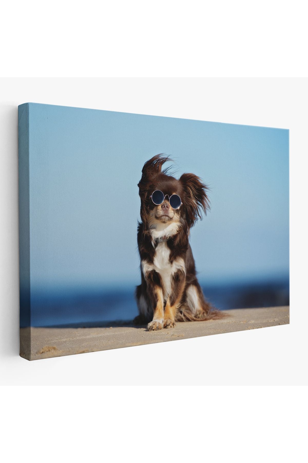 Küçük Köpek Dekoratif Kanvas Tablo 1157