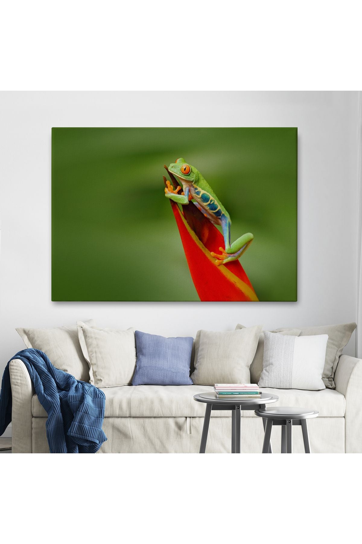 arg001 seri Renkli Kurbağa  Dekoratif Kanvas Tablo 1136