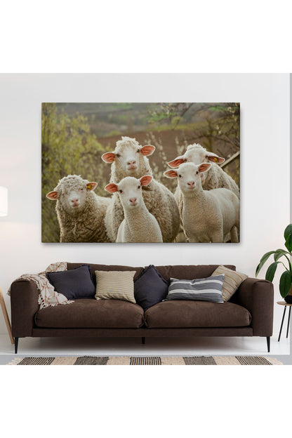Dekoratif Duvar Tablosu- Koyun Kuzu, Hayvan Temalı 1119